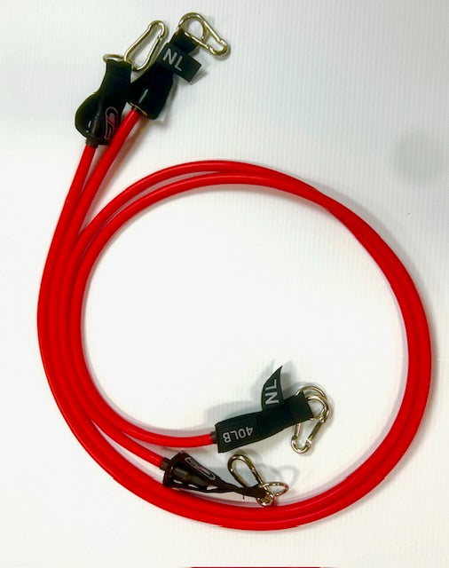 The BIG BUNGEES (1 5 foot and 1 10 foot band)