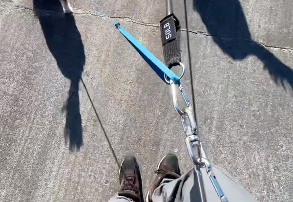 Hands Free Dog Walking Kit