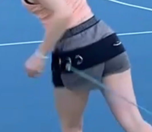 HITTING HARNESS for hitting power and weight transfer